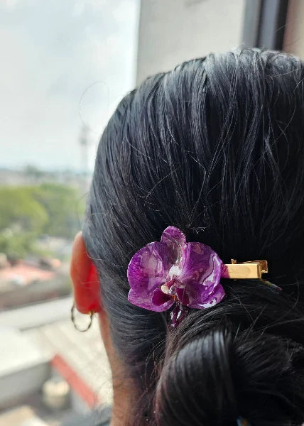 Accesorios