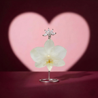 Aretes Mini Orquídea Blanca y Zirconia