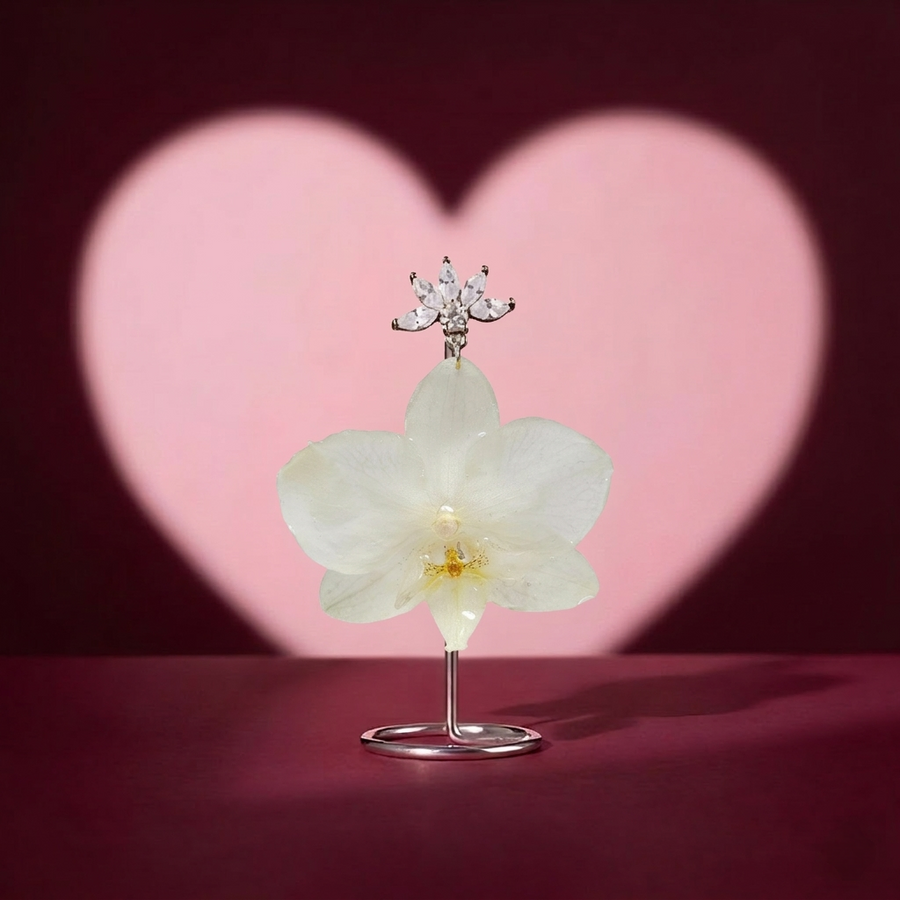 Aretes de Mini Orquídea Blanca y Zirconia