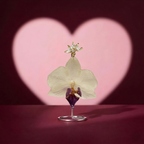 Aretes Mini Orquídea Blanca Morado y Zirconia