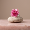 Anillo Clavel Rosa