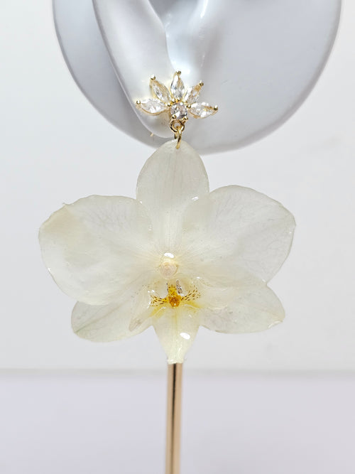 Aretes de Mini Orquídea Blanca y Zirconia artesanal con flor natural preservada; material: acero inoxidable, vista 2