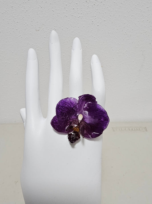 Joyeria Artesanal Mexicana Flor Encapsulada