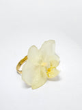 Anillo Mini Orquídea Blanca