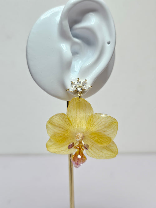 Aretes de Mini Orquídea Amarilla y Zirconia artesanal con flor natural preservada; material: acero inoxidable, vista 2