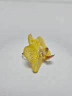 Anillo de Mini Orquídea Amarilla artesanal con flor natural preservada; material: acero inoxidable, vista 3