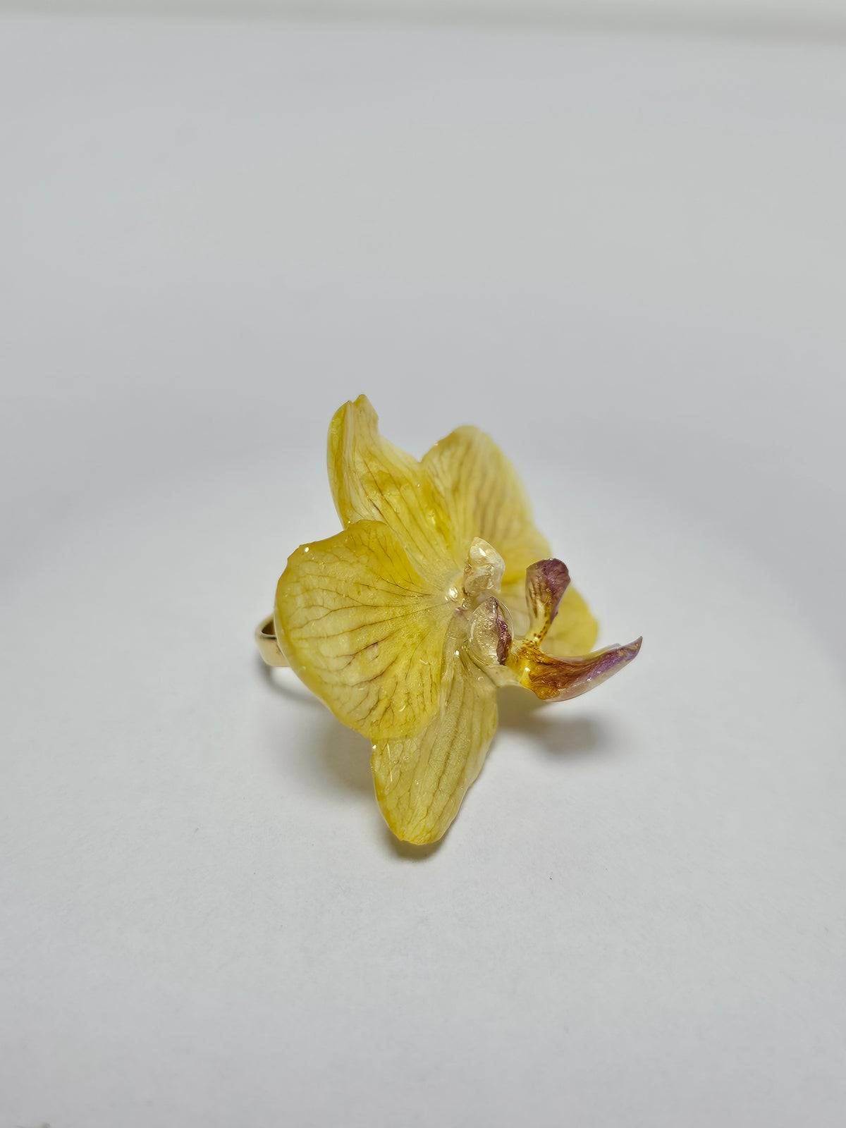Anillo de Mini Orquídea Amarilla artesanal con flor natural preservada; material: acero inoxidable, vista 3