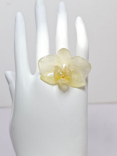 Anillo de Mini Orquídea Blanca artesanal con flor natural preservada; material: acero inoxidable, vista alternativa — ISAMOR
