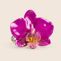 Anillo de Mini Orquídea Magenta artesanal con flor natural preservada — ISAMOR