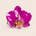 Anillo de Mini Orquídea Magenta artesanal con flor natural preservada — ISAMOR