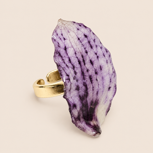 Anillo de Pétalos de Orquídea Gota artesanal con flor natural preservada — ISAMOR