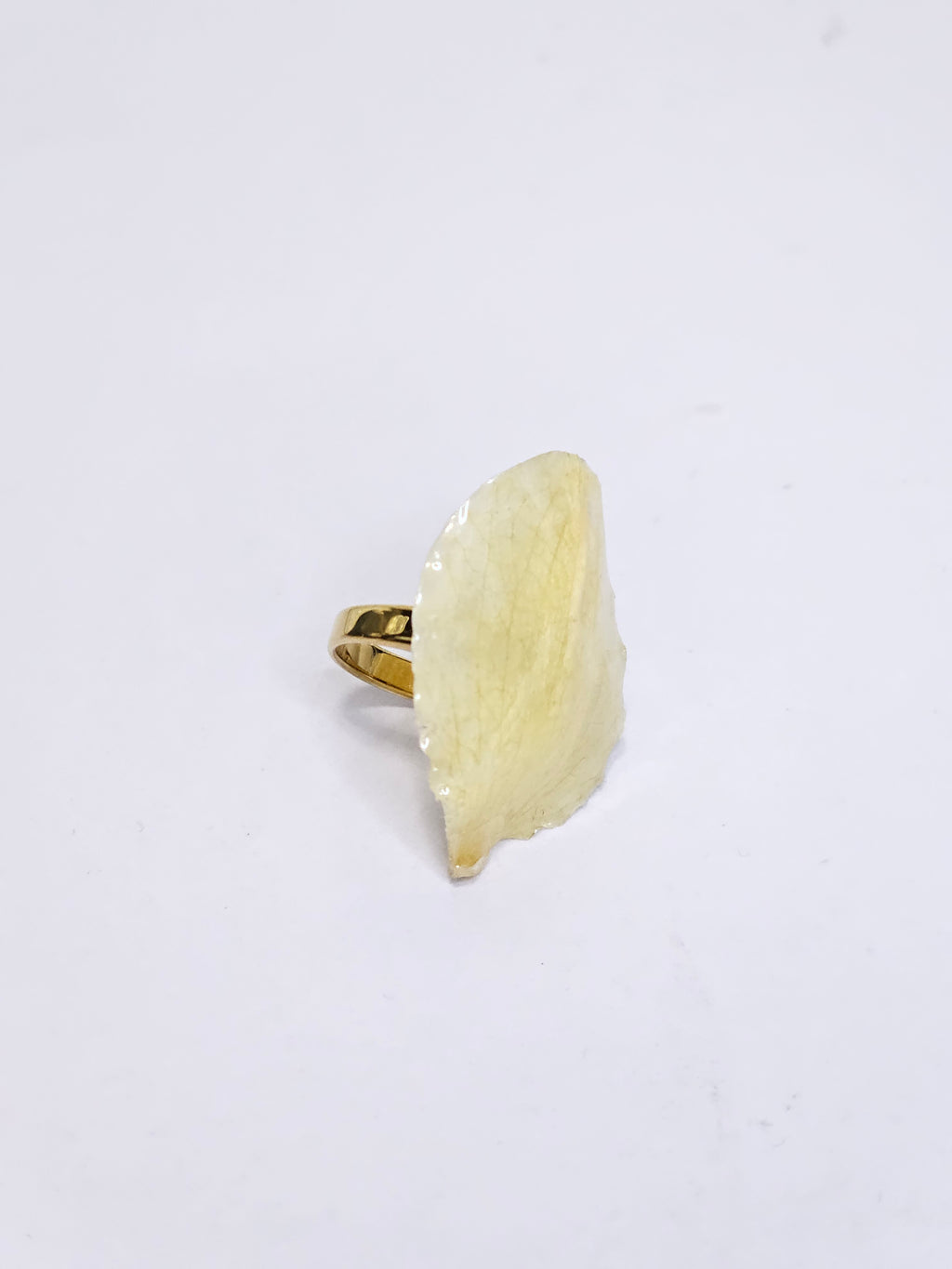 Anillo de Pétalos de Orquídea Gota artesanal con flor natural preservada; material: acero inoxidable, vista 4
