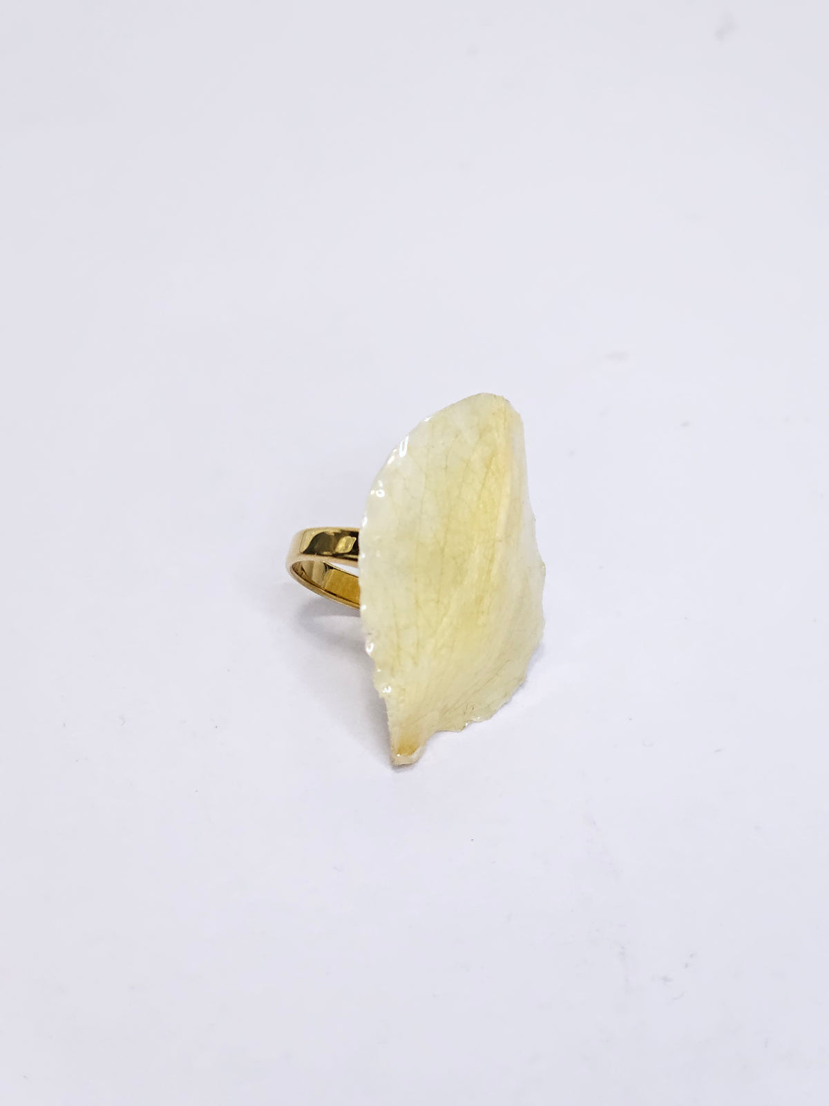 Anillo de Pétalos de Orquídea Gota artesanal con flor natural preservada; material: acero inoxidable, vista 4