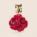 Aretes de Clavel Rojo artesanal con flor natural preservada — ISAMOR