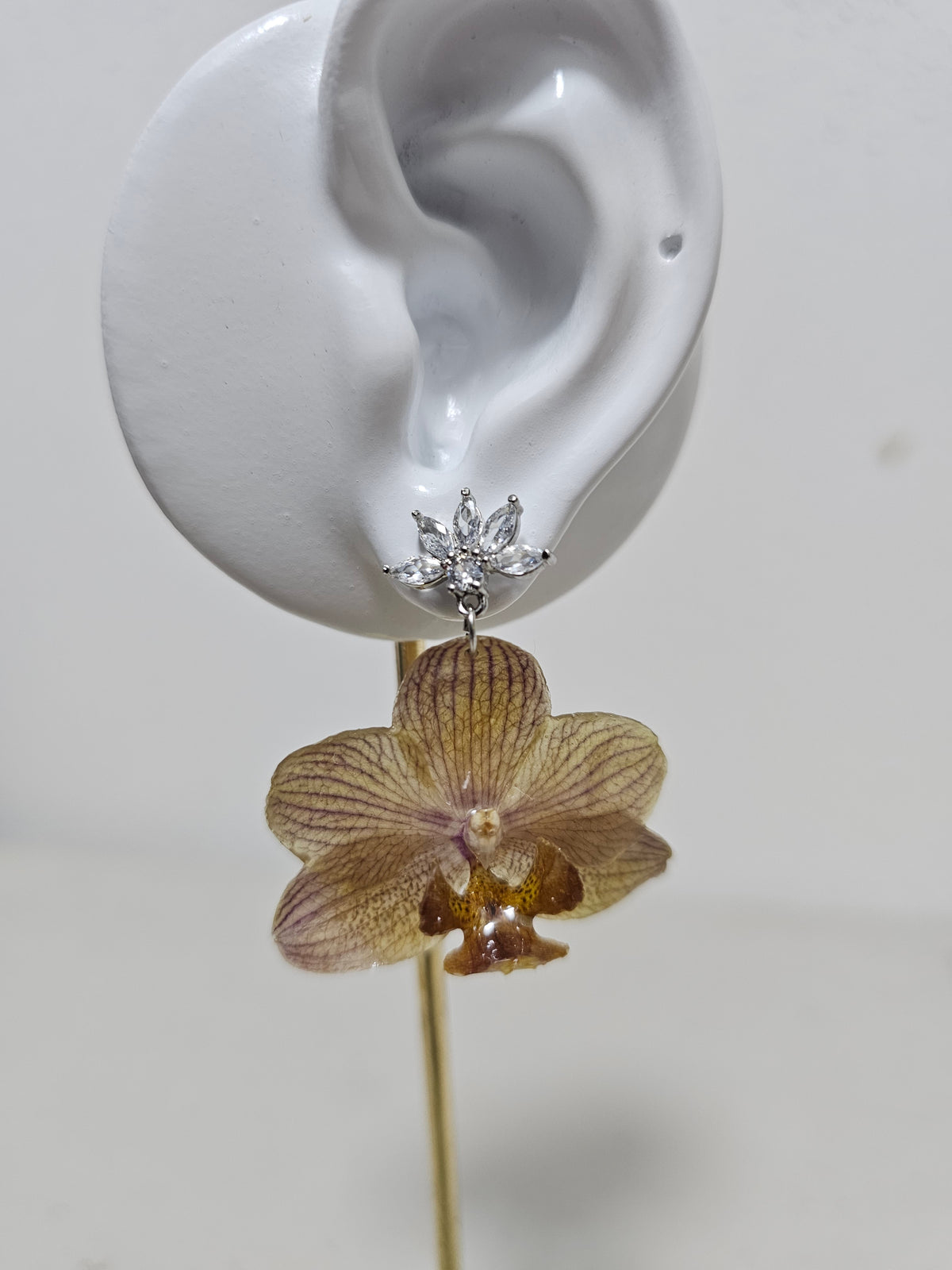 Aretes de Mini Orquídea Café y Zirconia artesanal con flor natural preservada; material: acero inoxidable, vista 2
