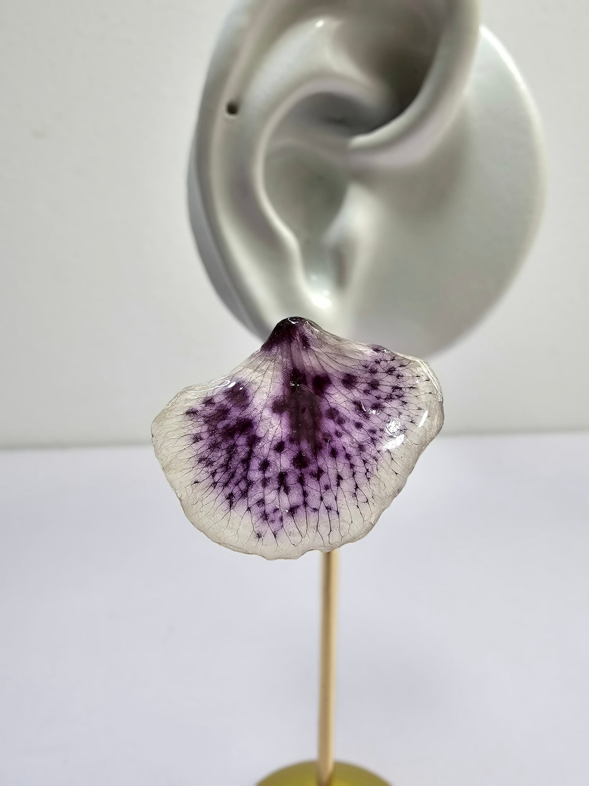 Aretes de Pétalos de Orquídea Abanico artesanal con flor natural preservada; material: acero inoxidable, vista 2