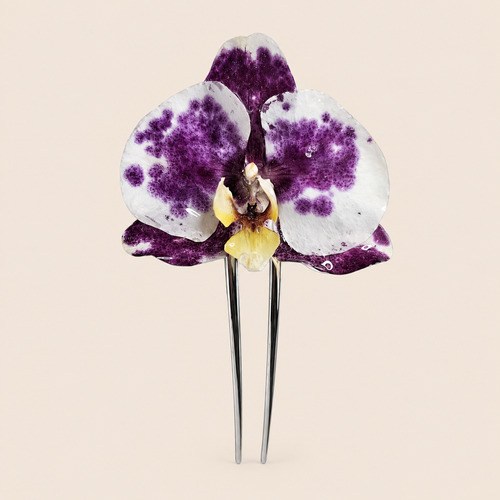 Peineta con Orquídea Vaquita artesanal con flor natural preservada — ISAMOR