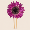 Peineta con Gerbera Morada