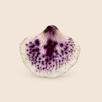 Aretes de Pétalos de Orquídea Abanico