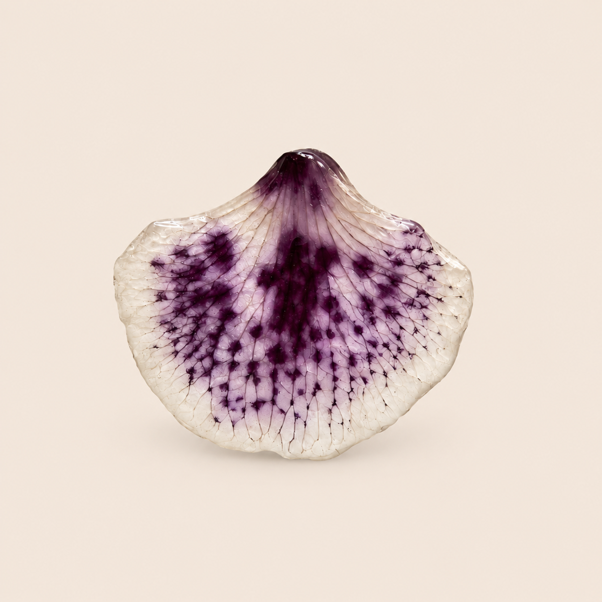 Aretes de Pétalos de Orquídea Abanico