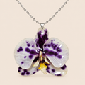 Collar de Orquídea Vaquita