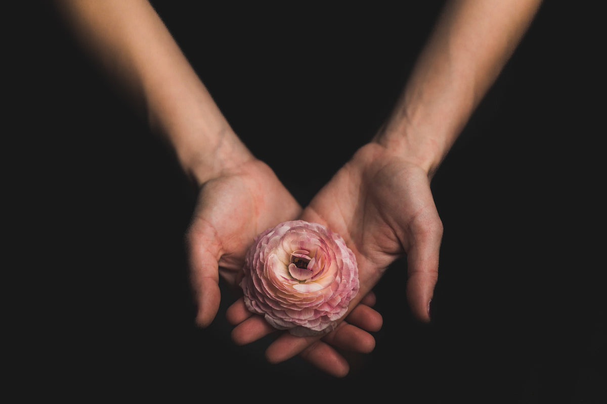 Cómo cuidar las flores encapsuladas